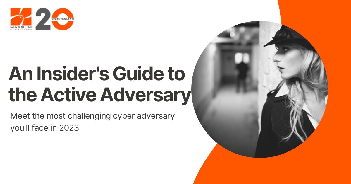 Playing Chess with the Adversary: Value in Security Controls